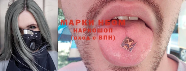 ПСИЛОЦИБИНОВЫЕ ГРИБЫ Верея