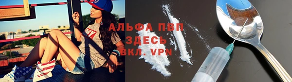 ПСИЛОЦИБИНОВЫЕ ГРИБЫ Верея
