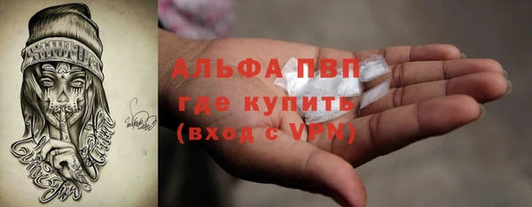ПСИЛОЦИБИНОВЫЕ ГРИБЫ Верея
