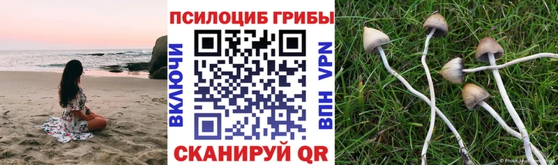 Купить где  Волжск  Галлюциногенные грибы мухоморы 