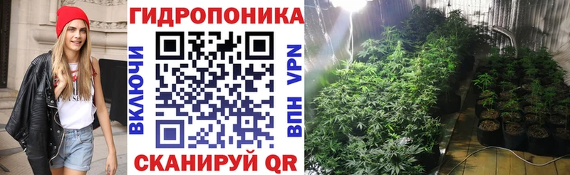 Купить закладки  Волжск  Бошки Шишки SATIVA & INDICA 
